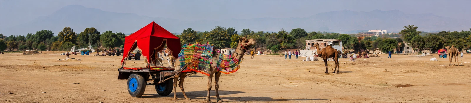 Pushkar Camel Fair