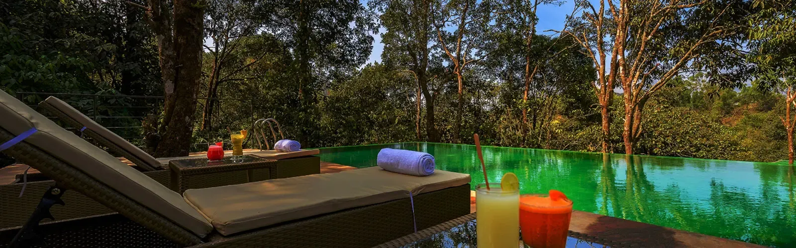 Wayanad Wildlife and Nature Retreat