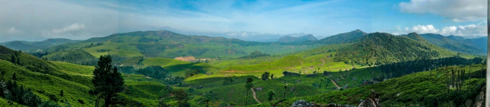 Devikulam Hill